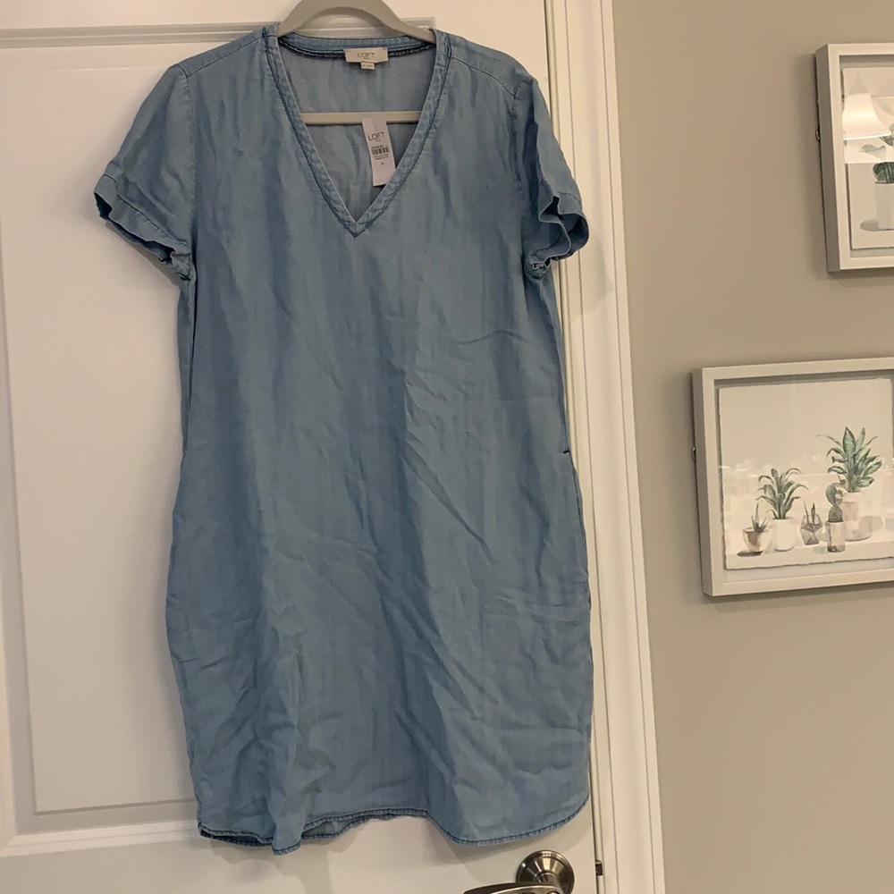 Unused Jean Dress